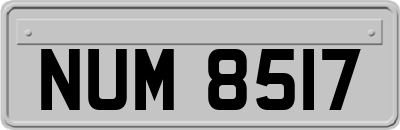 NUM8517