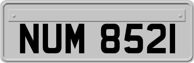 NUM8521