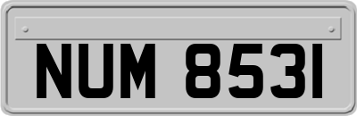 NUM8531