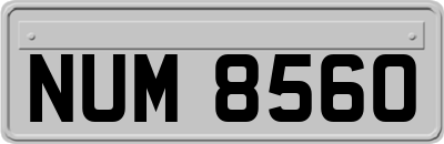 NUM8560