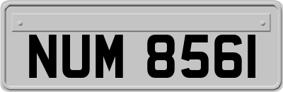 NUM8561