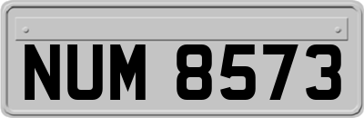 NUM8573