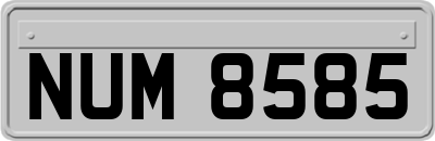 NUM8585