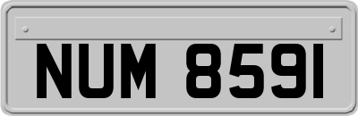 NUM8591