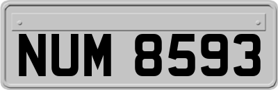 NUM8593