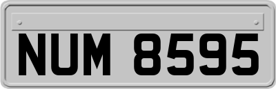 NUM8595