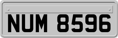 NUM8596