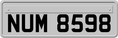 NUM8598