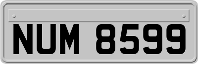 NUM8599