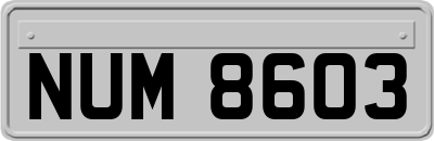 NUM8603