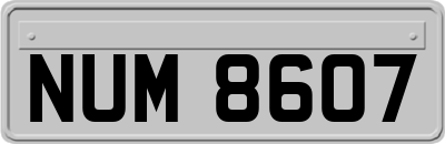 NUM8607