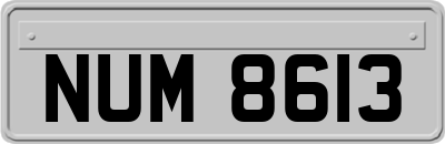 NUM8613