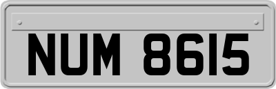 NUM8615