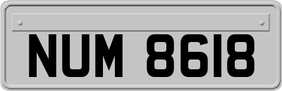 NUM8618