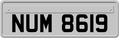 NUM8619