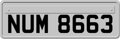 NUM8663