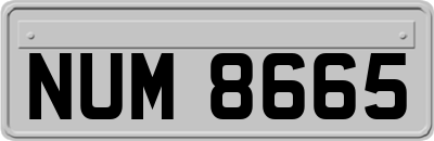 NUM8665