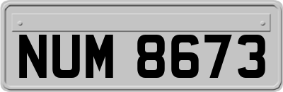 NUM8673