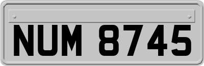 NUM8745