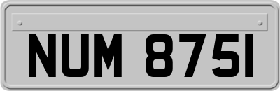 NUM8751