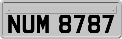 NUM8787