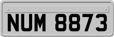 NUM8873