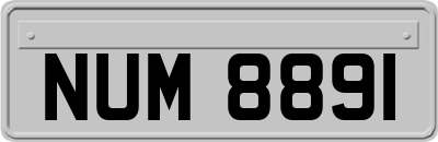 NUM8891
