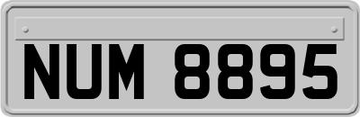 NUM8895