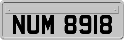 NUM8918