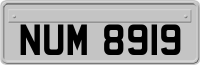 NUM8919