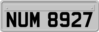 NUM8927