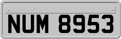 NUM8953