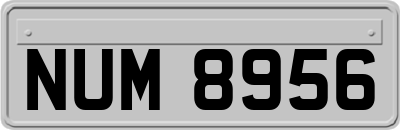NUM8956