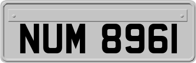 NUM8961