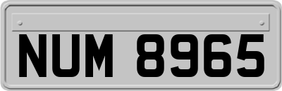 NUM8965