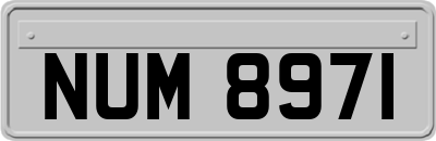 NUM8971