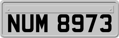 NUM8973