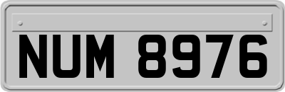 NUM8976