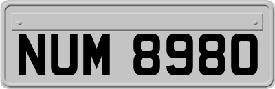 NUM8980