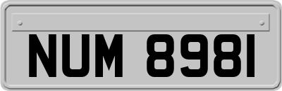 NUM8981