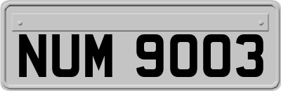 NUM9003