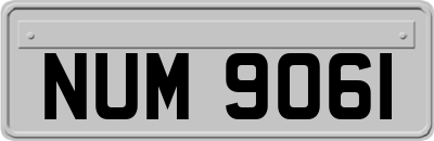 NUM9061