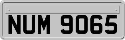 NUM9065