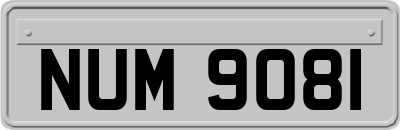 NUM9081