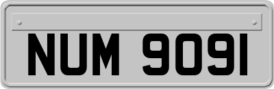 NUM9091