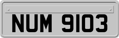 NUM9103