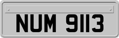 NUM9113