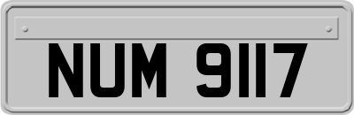 NUM9117