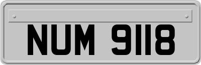 NUM9118