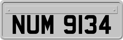 NUM9134